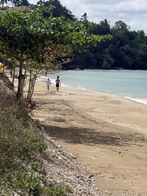 Sandy tropical beach with turquoise water, two people wading, tree-lined shore, and lush green hillside in background