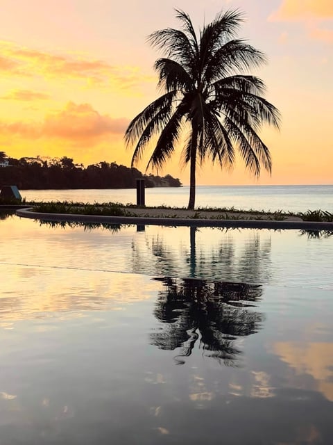 Silhouette of a palm tree reflected in calm water at sunset with golden sky and distant shoreline