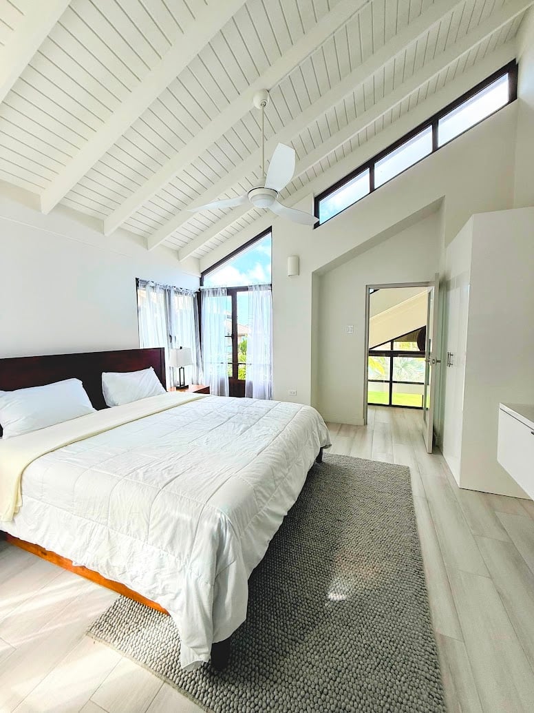 Bright modern bedroom with white vaulted ceiling, dark headboard bed with white linens, and large windows